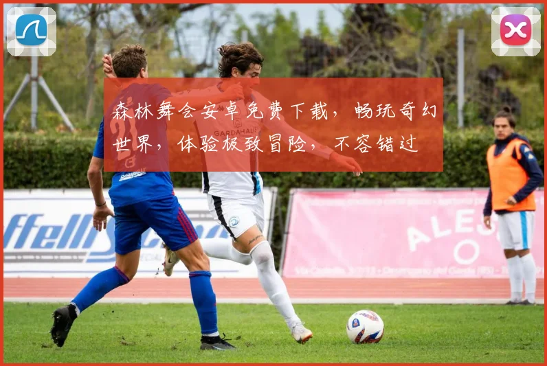 森林舞会安卓免费下载，畅玩奇幻世界，体验极致冒险，不容错过