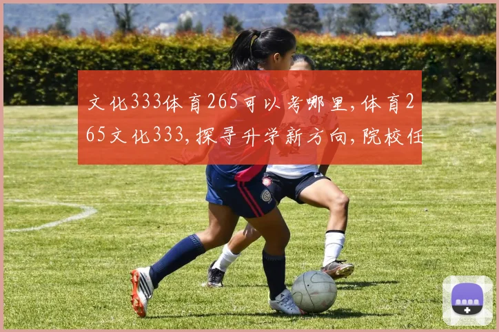 文化333体育265可以考哪里,体育265文化333,探寻升学新方向,院校任你挑