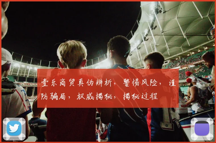 壹乐商贸真伪辨析，警惕风险，谨防骗局，权威揭秘，揭秘过程