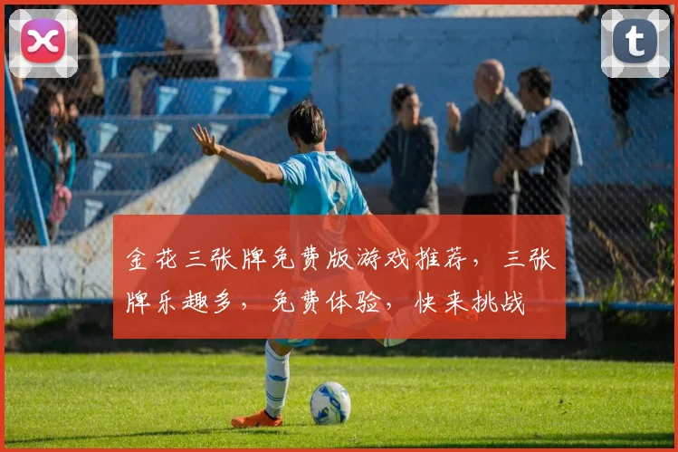 金花三张牌免费版游戏推荐，三张牌乐趣多，免费体验，快来挑战